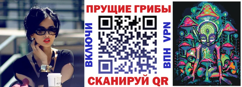 Купить  Инта  Псилоцибиновые грибы GOLDEN TEACHER 